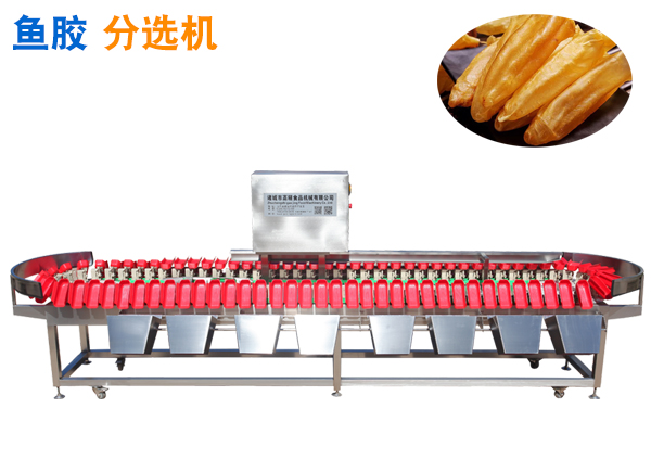 魚膠稱重分選機(jī)花膠重量分選機(jī)魚肚分揀機(jī)魚鰾分級機(jī)